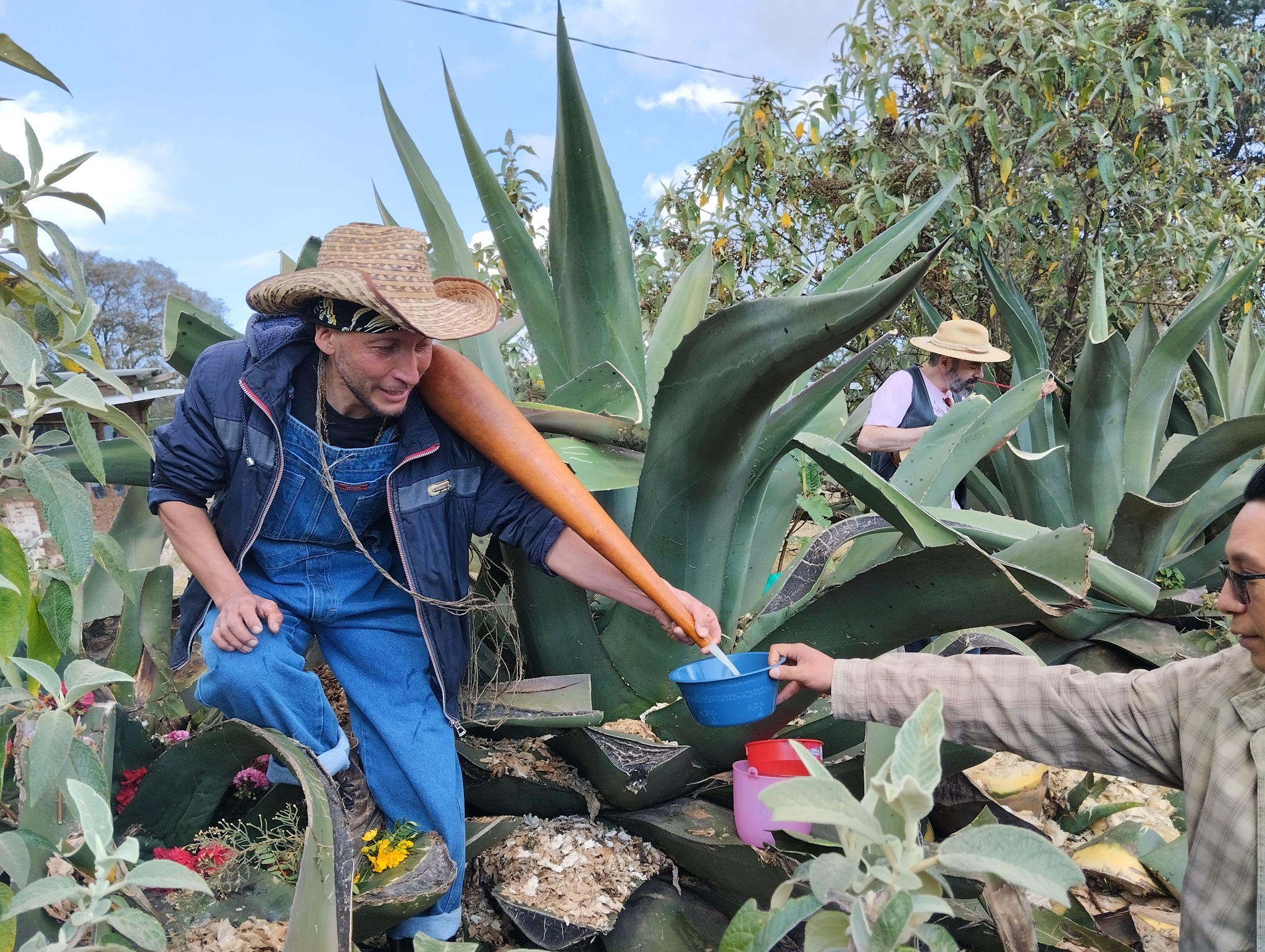 Grupo de tlachiqueros trabajando juntos